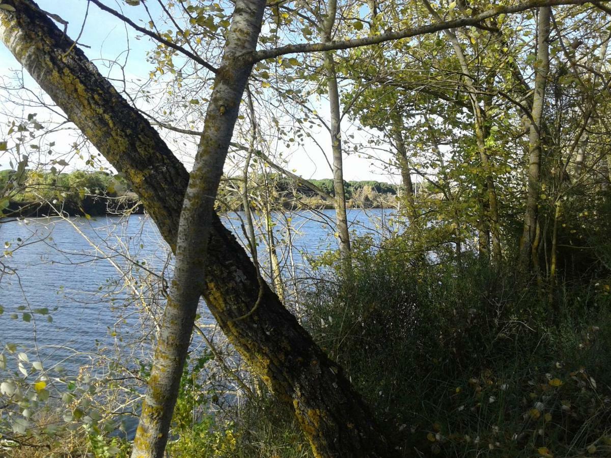 Pinar De Las Cabanuelas Villanueva de Duero Εξωτερικό φωτογραφία